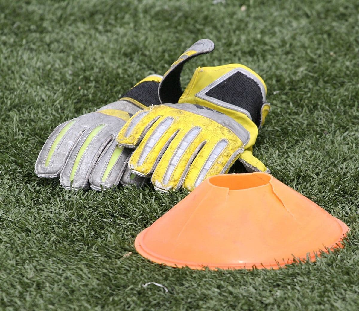 RBN Agility Ladder & Cone Set (representative photo)