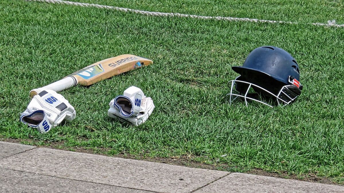 RBN Elite Batting Gloves (representative photo)