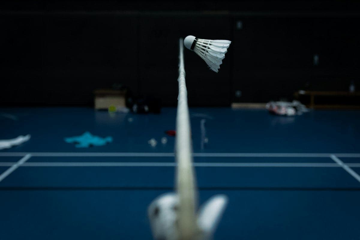 RBN Feather Shuttlecocks (Tube of 12) (representative photo)