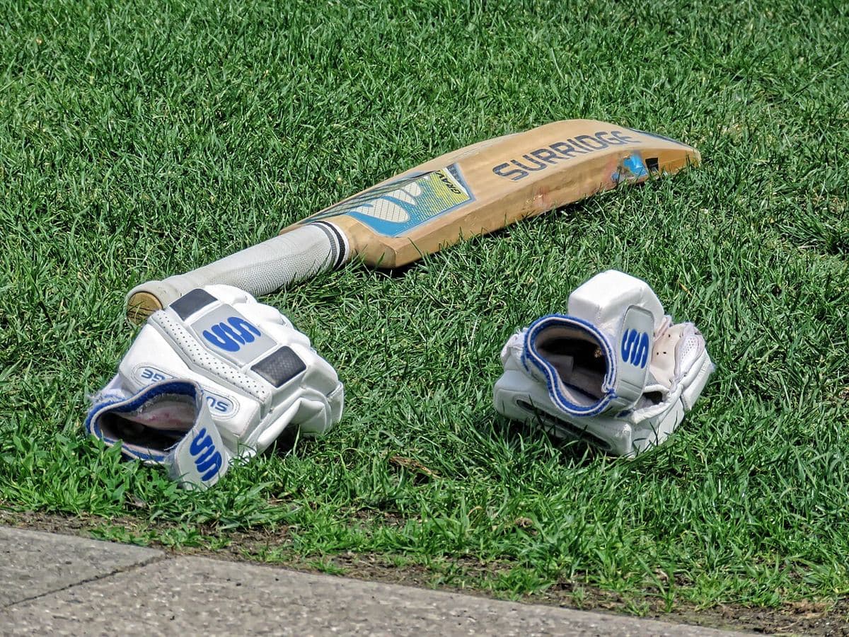 RBN Junior Kashmir Willow Bat (representative photo)