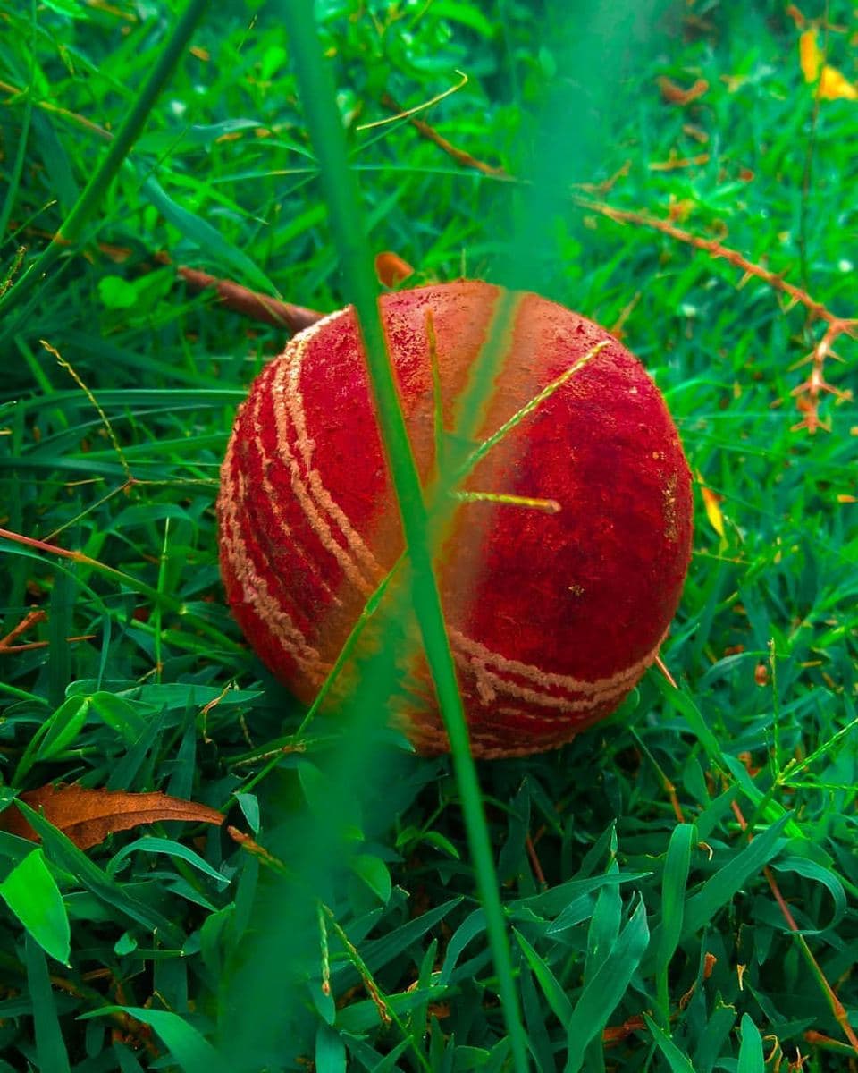 RBN Test 4-Piece Leather Cricket Ball (representative photo)
