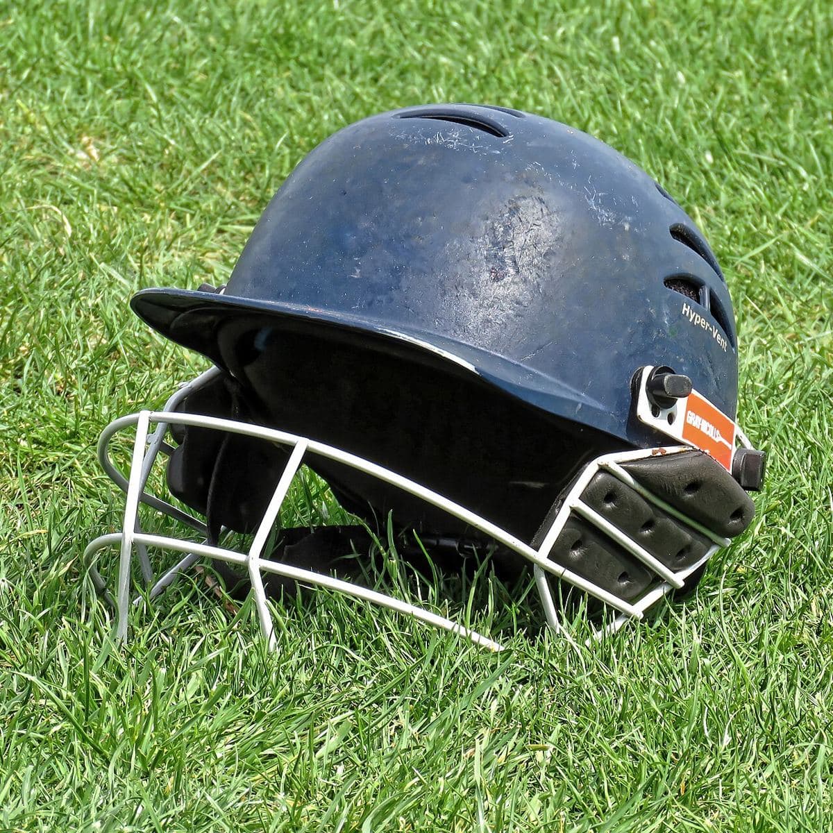 RBN Titanium Grille Cricket Helmet (representative photo)